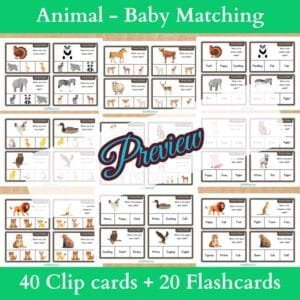 Animal Baby Matching Flashcards & Clip Cards