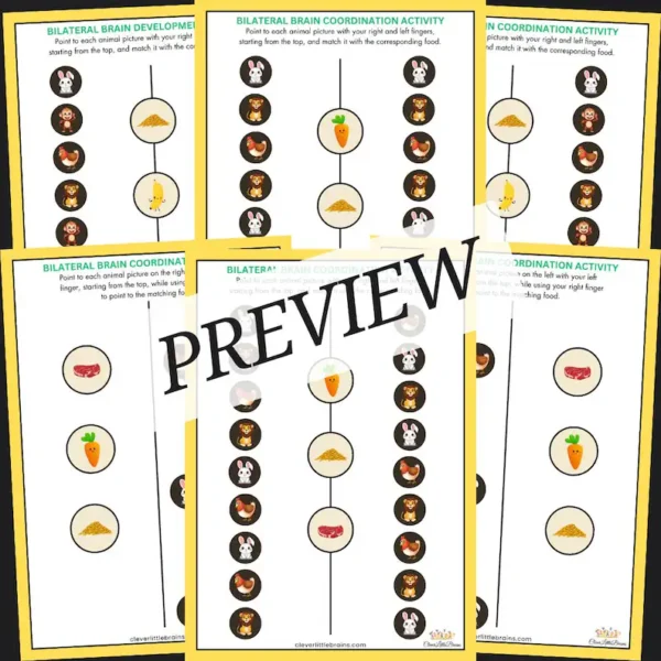Animal & Food Matching - Bilateral Coordination Activity