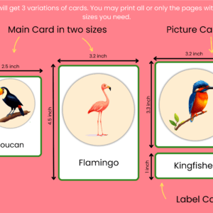Birds Names With Pictures For Kids