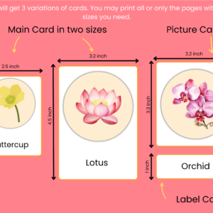 Alternative view of 20 Flowers Names And Pictures In English | Flower Flashcards For Preschool/Kindergarten Kids | Montessori Activity