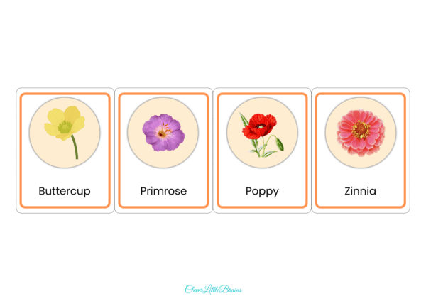 20 Flowers Names And Pictures In English | Flower Flashcards For Preschool/Kindergarten Kids | Montessori Activity - Image 6