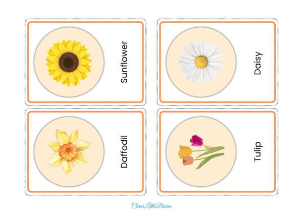 20 Flowers Names And Pictures In English | Flower Flashcards For Preschool/Kindergarten Kids | Montessori Activity - Image 4