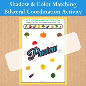 Alternative view of Shadow & Color Matching – Bilateral Coordination Activity | Improve Hand Eye Coordination | Reflex Improvement | Pattern Recognition