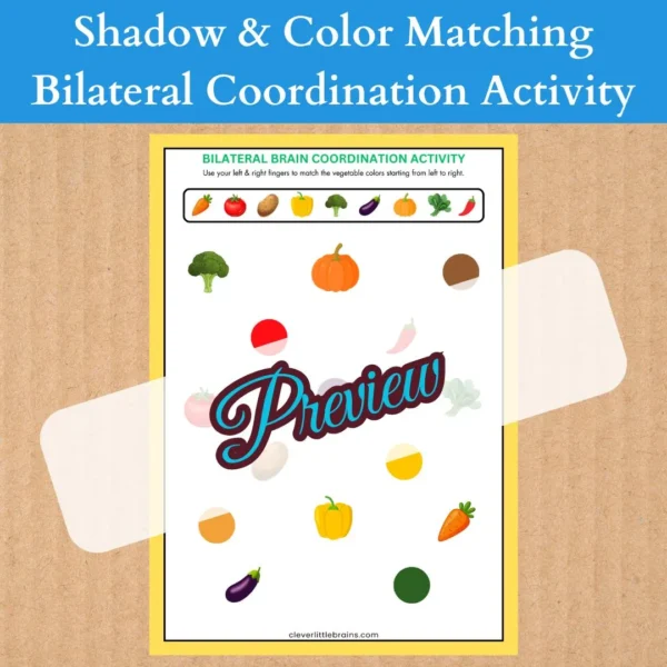 Shadow & Color Matching – Bilateral Coordination Activity | Improve Hand Eye Coordination | Reflex Improvement | Pattern Recognition - Image 2