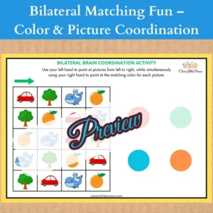 Alternative view of Color & Picture Coordination Challenge | Hand Eye Coordination | Left-Right Brain Engagement | Strengthens Fine Motor Control