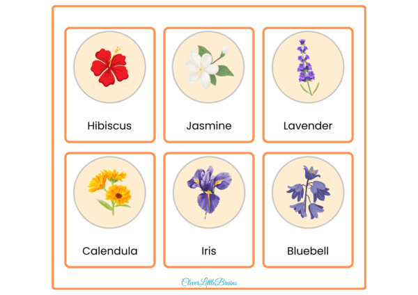 List of Flowers Names For Kids (1)