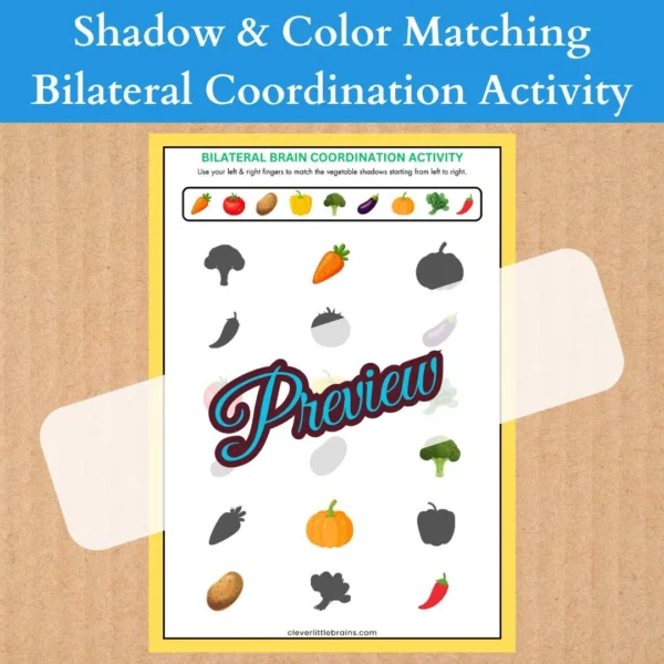 Shadow & Color Matching – Bilateral Coordination Activity | Improve Hand Eye Coordination | Reflex Improvement | Pattern Recognition - Image 3