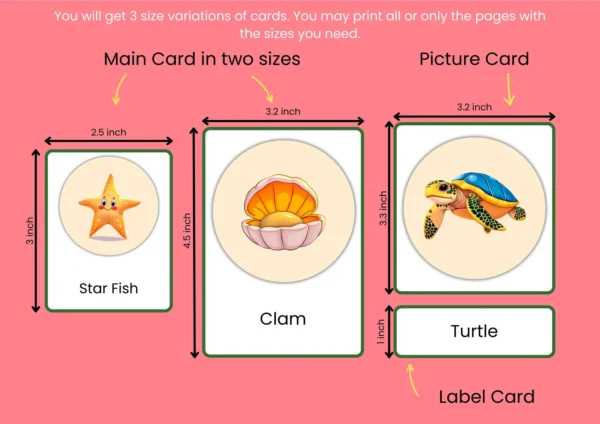Water Animals Names With Pictures For Kids