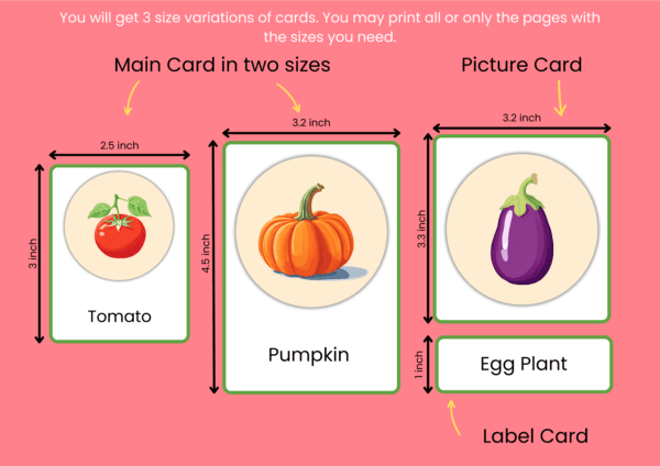 vegetables names flashcards with pictures in English