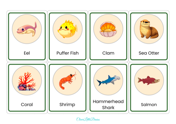 Water Animals Flashcards | Aquatic Animal Names In English With Pictures For Kids | Montessori Based Learning - Image 2