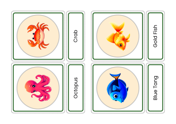 Water Animals Flashcards | Aquatic Animal Names In English With Pictures For Kids | Montessori Based Learning - Image 5