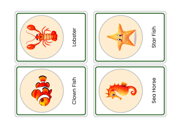 Water Animals Flashcards | Aquatic Animal Names In English With Pictures For Kids | Montessori Based Learning - Image 4
