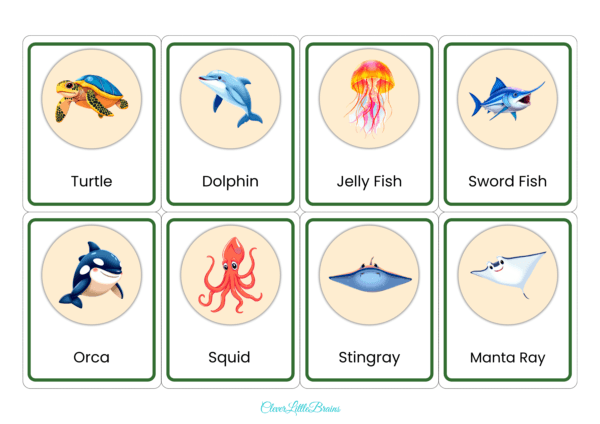 Water Animals Flashcards | Aquatic Animal Names In English With Pictures For Kids | Montessori Based Learning - Image 3