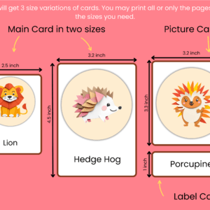 wild animals pictures with names in English