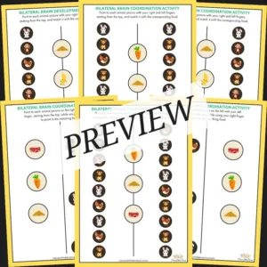 Animal & Food Matching - Bilateral Coordination Activity